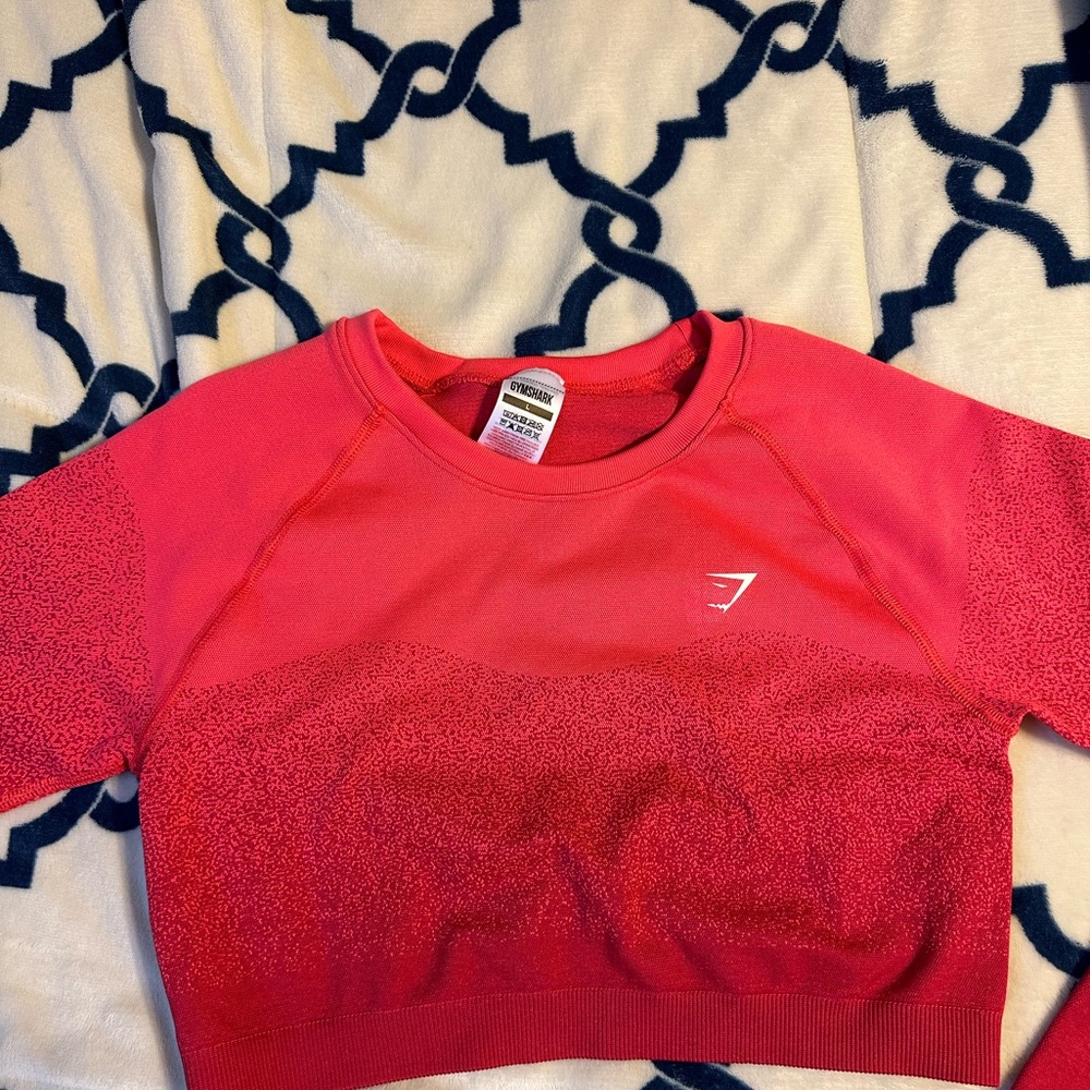 Gymshark adapt ombré seamless long sleeve crop top (L)